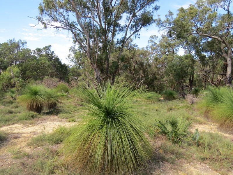 35 Timber Grove, Two Rocks WA 6037