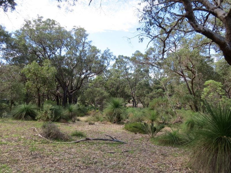 35 Timber Grove, Two Rocks WA 6037