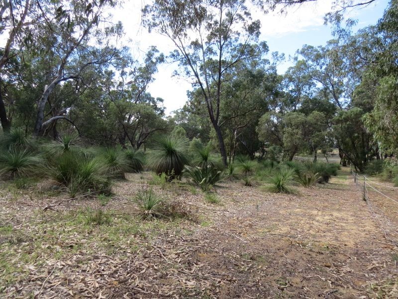 35 Timber Grove, Two Rocks WA 6037