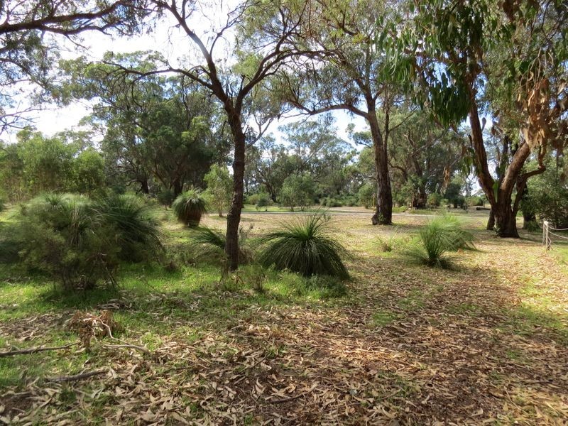 35 Timber Grove, Two Rocks WA 6037