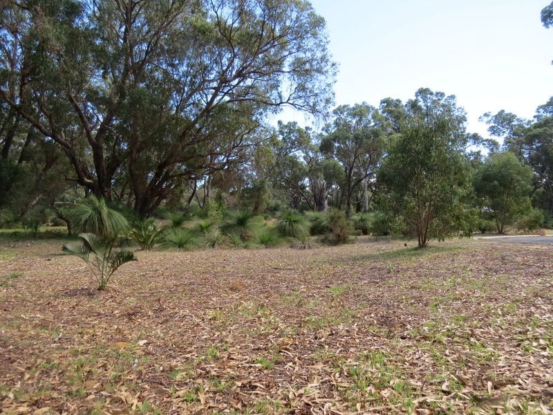 35 Timber Grove, Two Rocks WA 6037