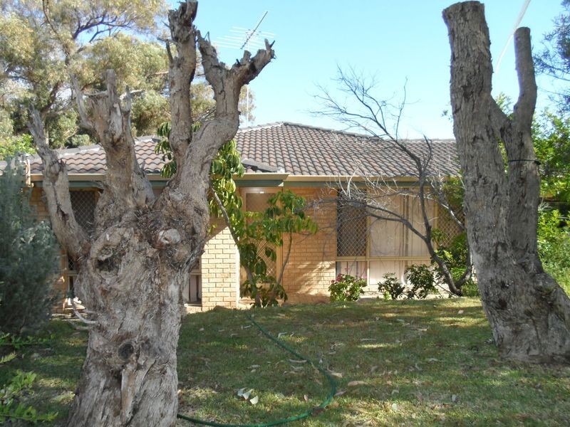 19 Newlyn Place, Yanchep WA 6035