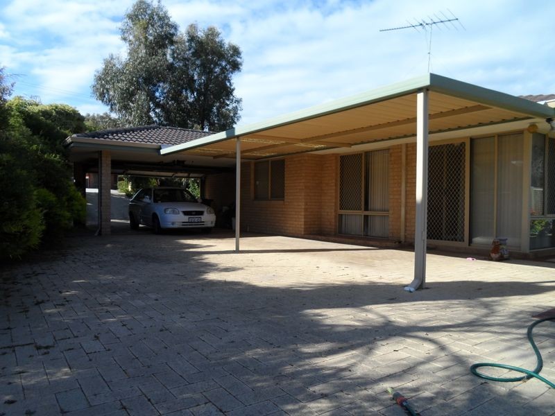 19 Newlyn Place, Yanchep WA 6035