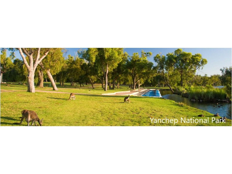 18 Hazeltine Court, Yanchep WA 6035