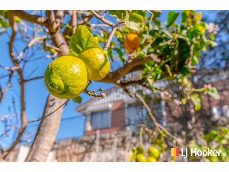 12 Evans Place, Two Rocks WA 6037