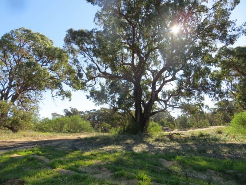 Lot 171 Elderberry Link, Two Rocks WA 6037