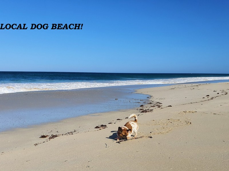 Lot 171 Elderberry Link, Two Rocks WA 6037