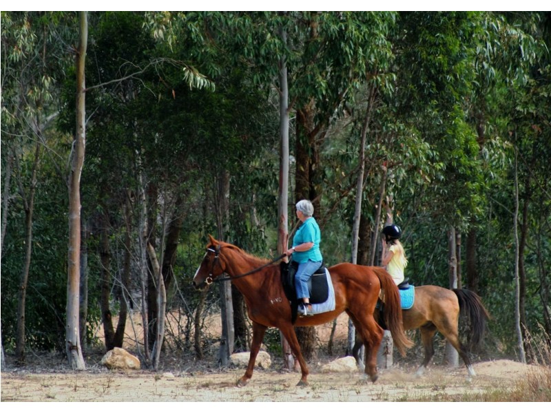Lot 172 Elderberry Link, Two Rocks WA 6037