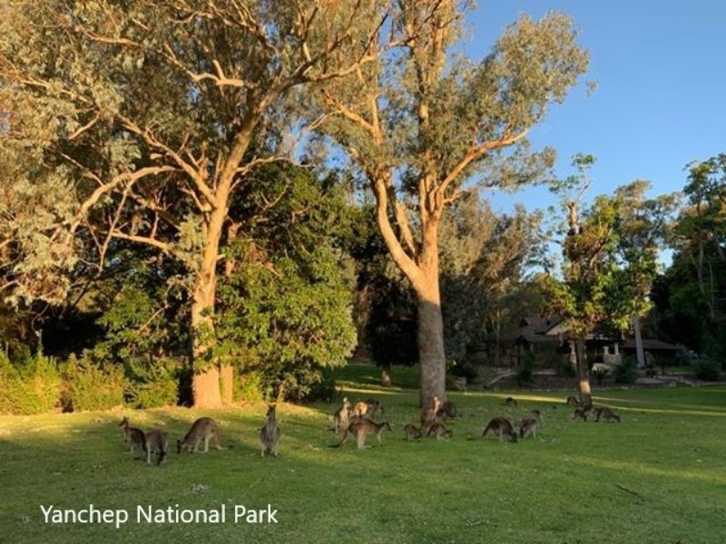 38 Beachside Parade, Yanchep WA 6035