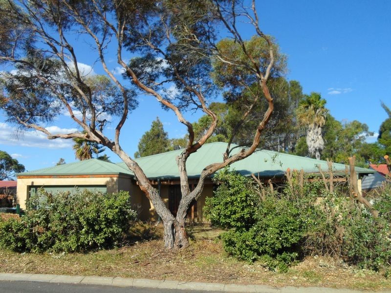 7 Carnoustie Court, Yanchep WA 6035