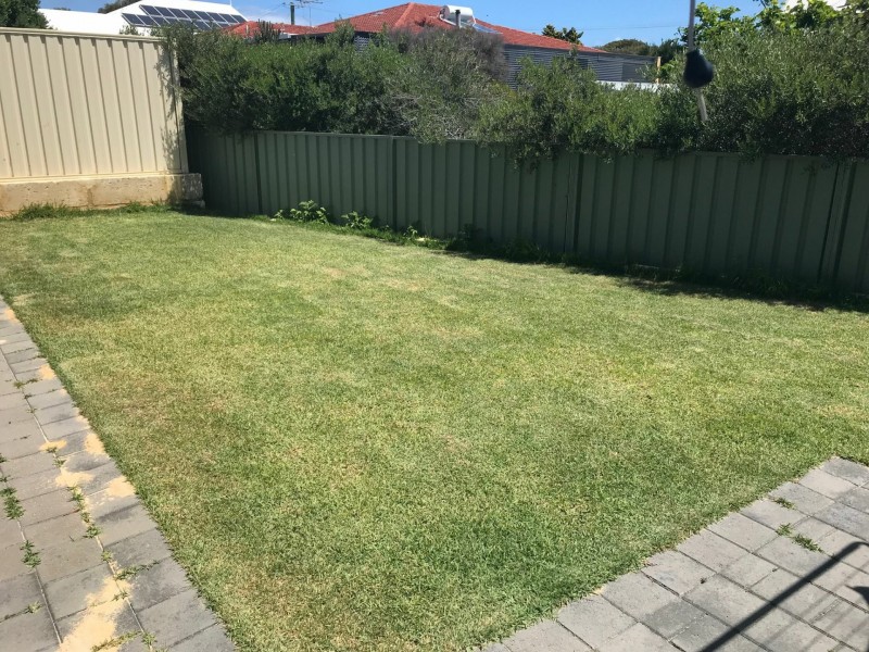 61a Flagtail Outlook, Yanchep WA 6035