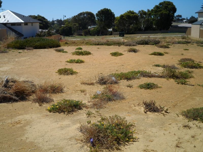 20 Hamelin Street, Two Rocks WA 6037