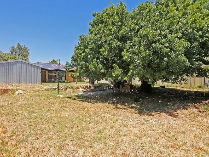 11 Wilson Place, Two Rocks WA 6037