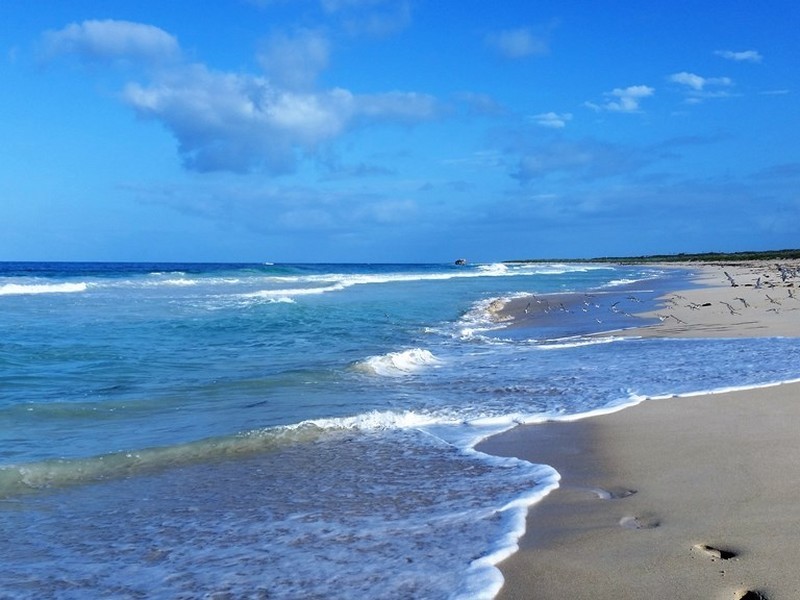 9 Two Rocks Road, Two Rocks WA 6037