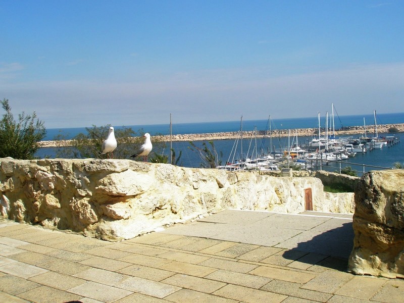 34 Damepattie Drive, Two Rocks WA 6037