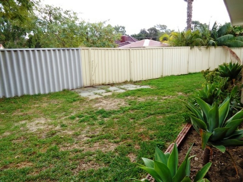 2 Cingalee Place, Craigie WA 6025