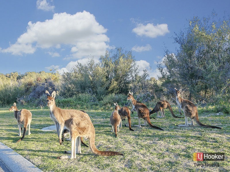 40 Sunningdale Road, Yanchep WA 6035