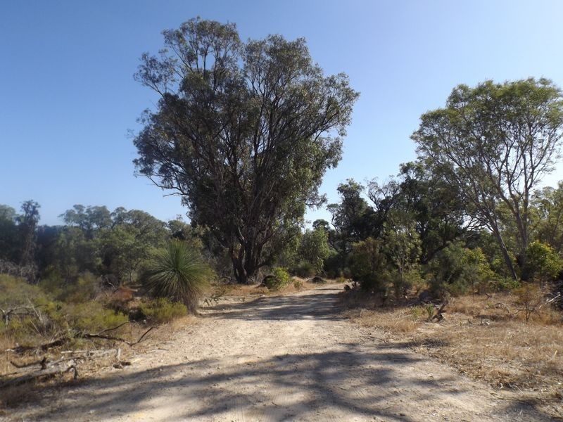 18 Bushwood Follow, Two Rocks WA 6037