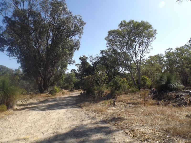 18 Bushwood Follow, Two Rocks WA 6037