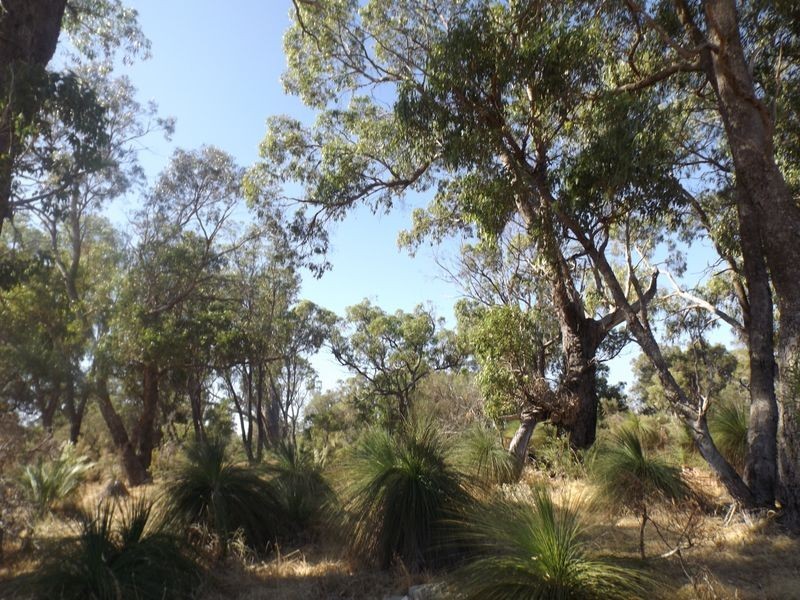 18 Bushwood Follow, Two Rocks WA 6037