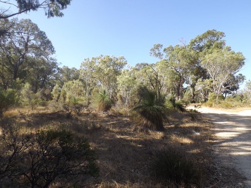 18 Bushwood Follow, Two Rocks WA 6037