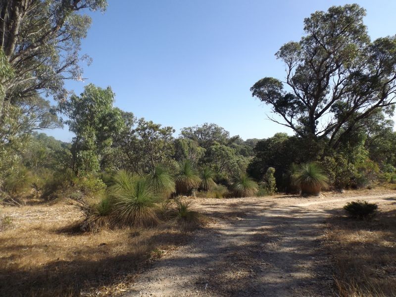 18 Bushwood Follow, Two Rocks WA 6037