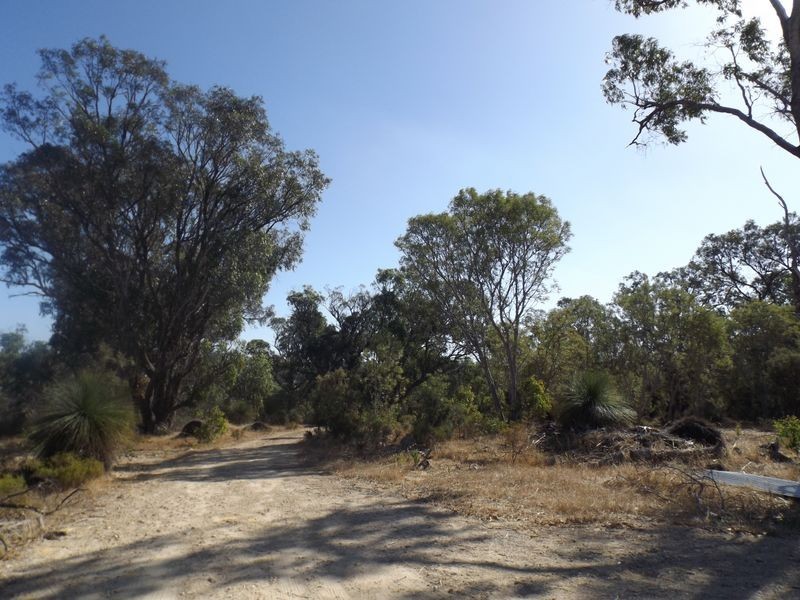 18 Bushwood Follow, Two Rocks WA 6037