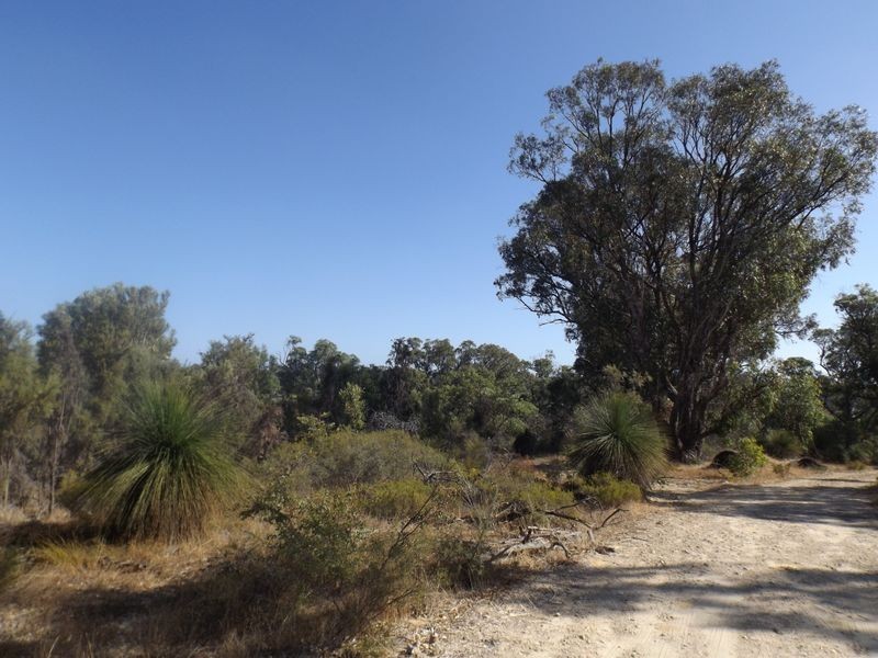 18 Bushwood Follow, Two Rocks WA 6037