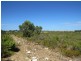 Lot 56 Tamarisk Drive, Wilbinga WA 6041