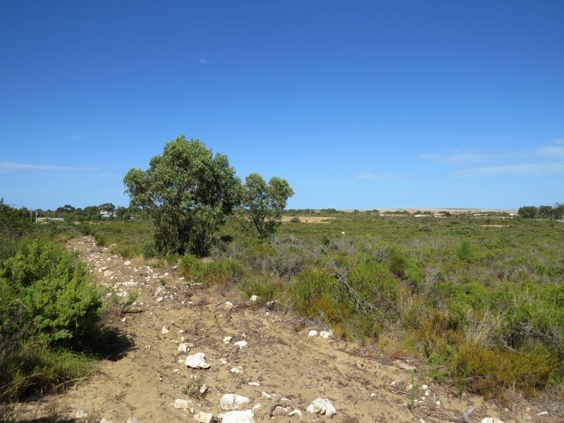 Lot 56 Tamarisk Drive, Wilbinga WA 6041