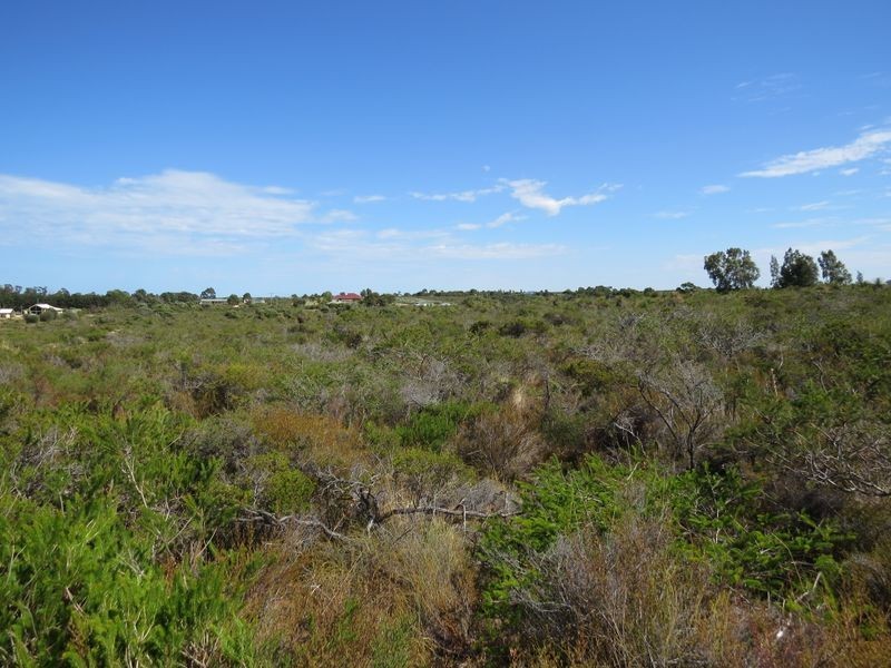 Lot 56 Tamarisk Drive, Wilbinga WA 6041