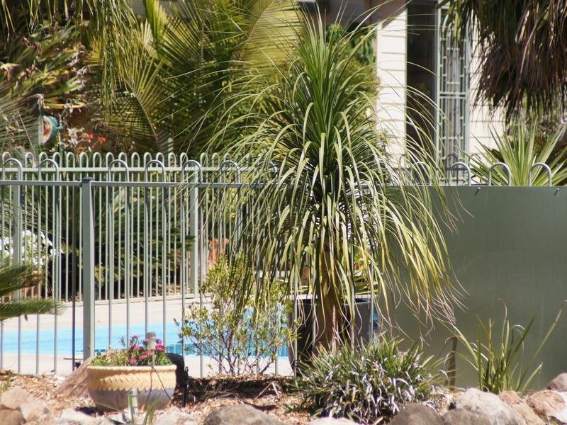 51 River Road, Moree NSW 2400