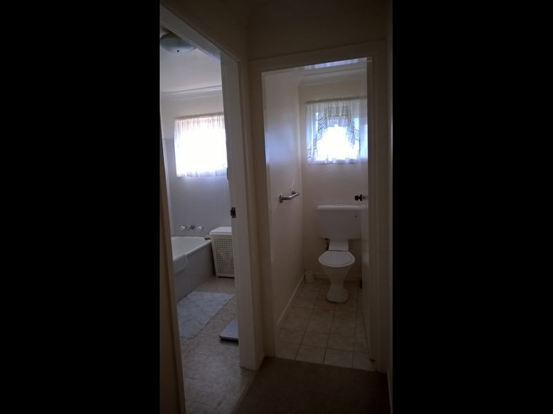 51 Generoi Street, Pallamallawa NSW 2399