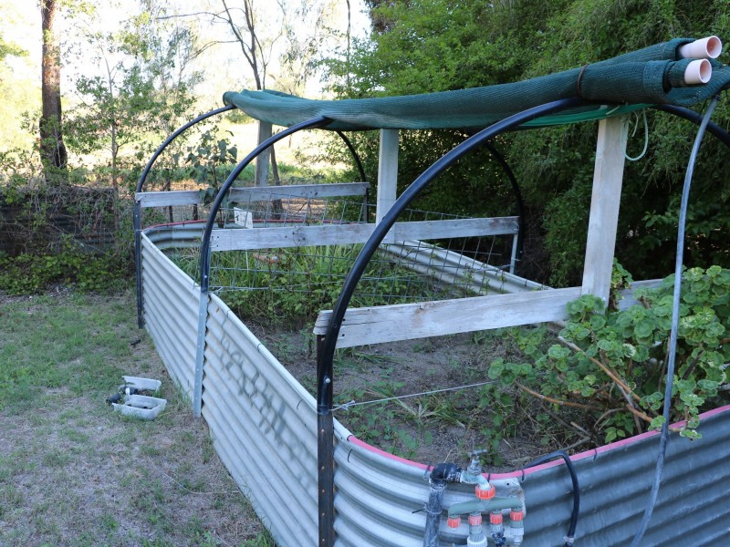 19 Mungindi Road, Moree NSW 2400