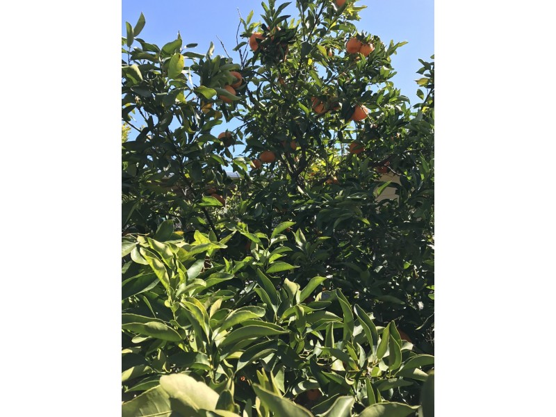 3/69 Dover Street, Moree NSW 2400