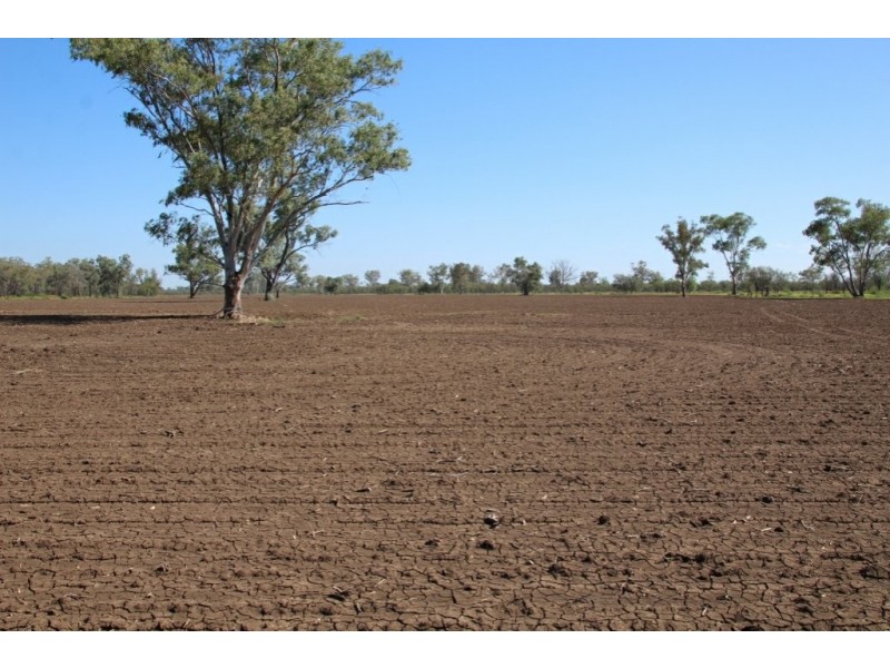 751 Boree Road – “Teralba”, Moree NSW 2400