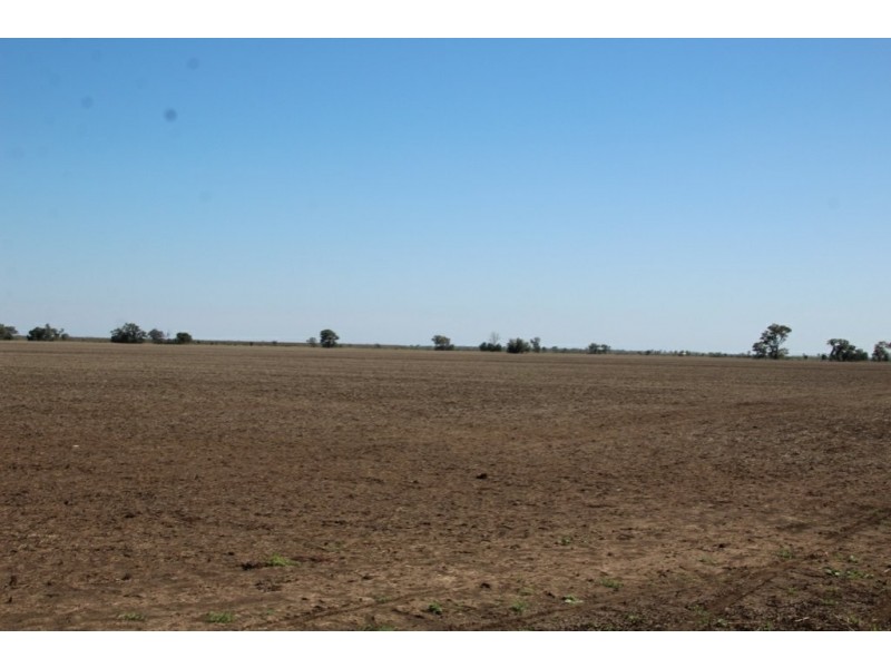 751 Boree Road – “Teralba”, Moree NSW 2400