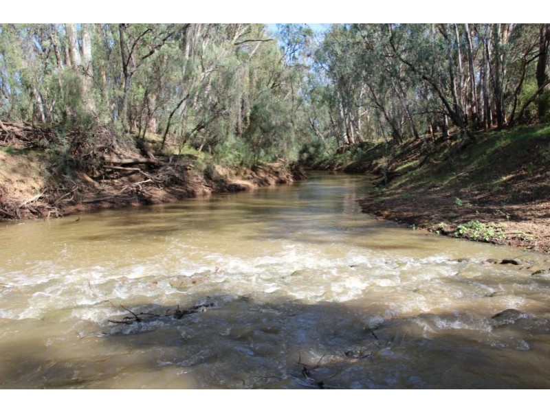 751 Boree Road – “Teralba”, Moree NSW 2400