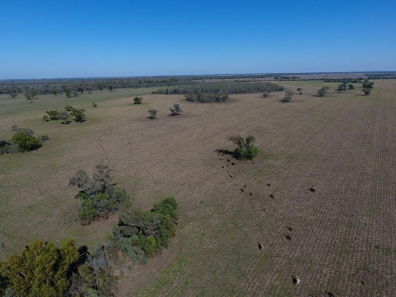 751 Boree Road – “Teralba”, Moree NSW 2400