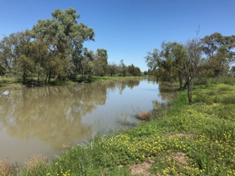 751 Boree Road – “Teralba”, Moree NSW 2400