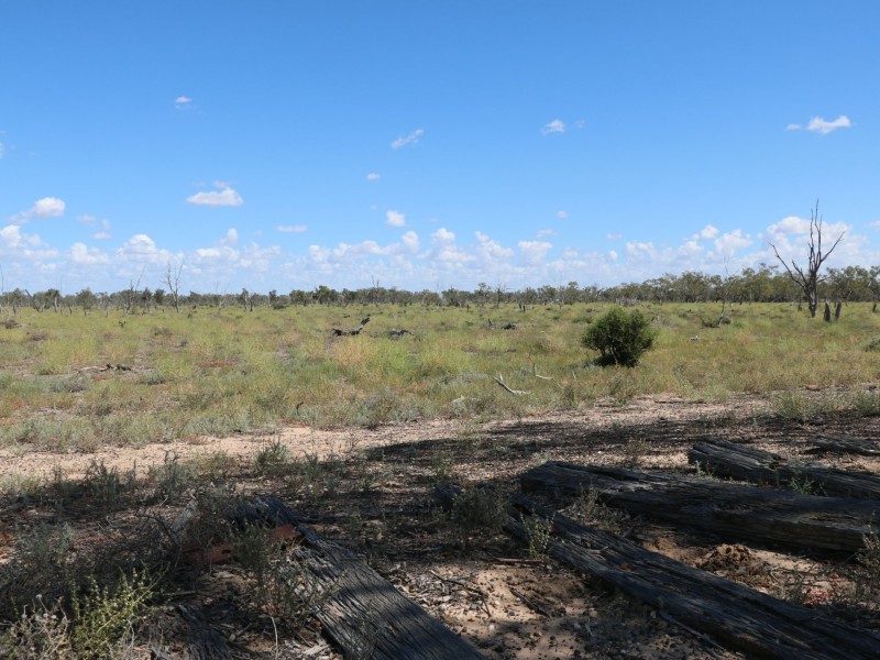 1 “Goodrums”, Mungindi NSW 2406