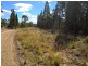 Lot 15 Michaels Lane, Warialda NSW 2402