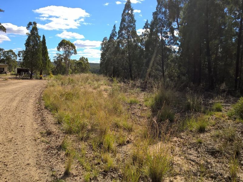 Lot 15 Michaels Lane, Warialda NSW 2402