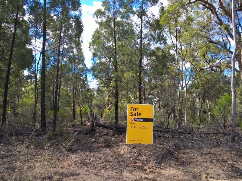 Lot 15 Michaels Lane, Warialda NSW 2402