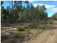 Lot 15 Michaels Lane, Warialda NSW 2402