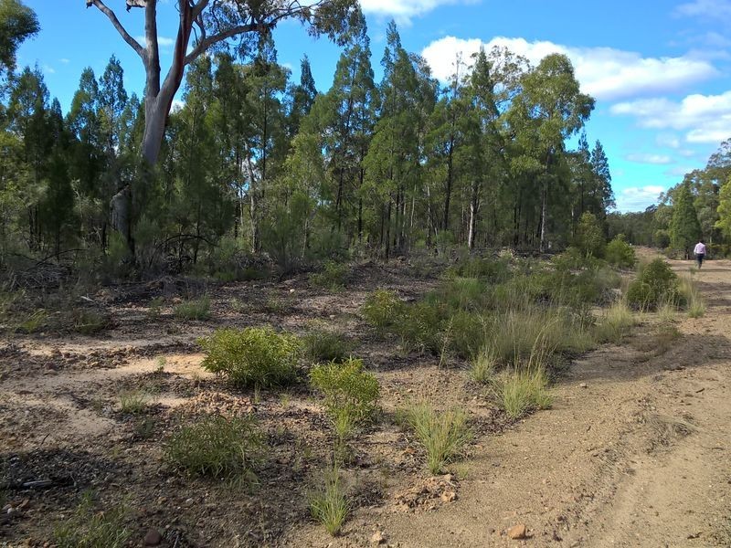 Lot 15 Michaels Lane, Warialda NSW 2402
