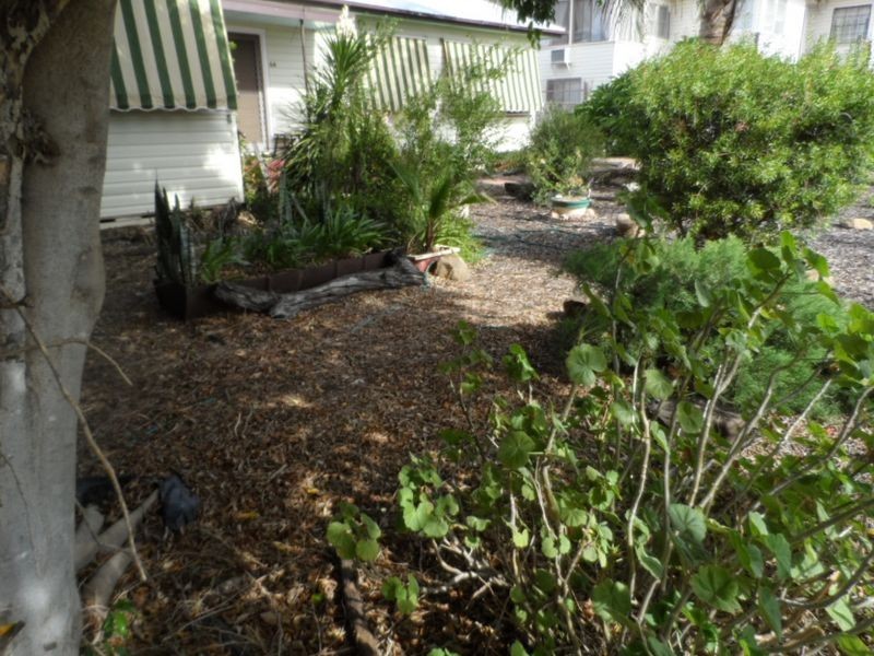 64 Oak Street, Moree NSW 2400