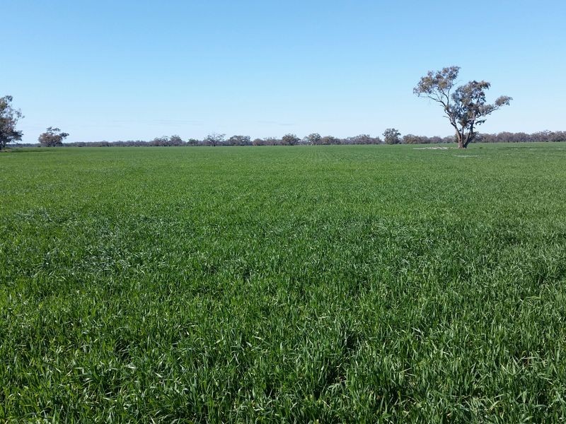 ‘Eulindra’ Watercourse Road, Moree NSW 2400