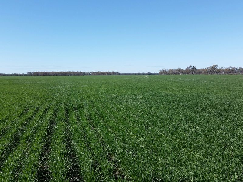 ‘Eulindra’ Watercourse Road, Moree NSW 2400