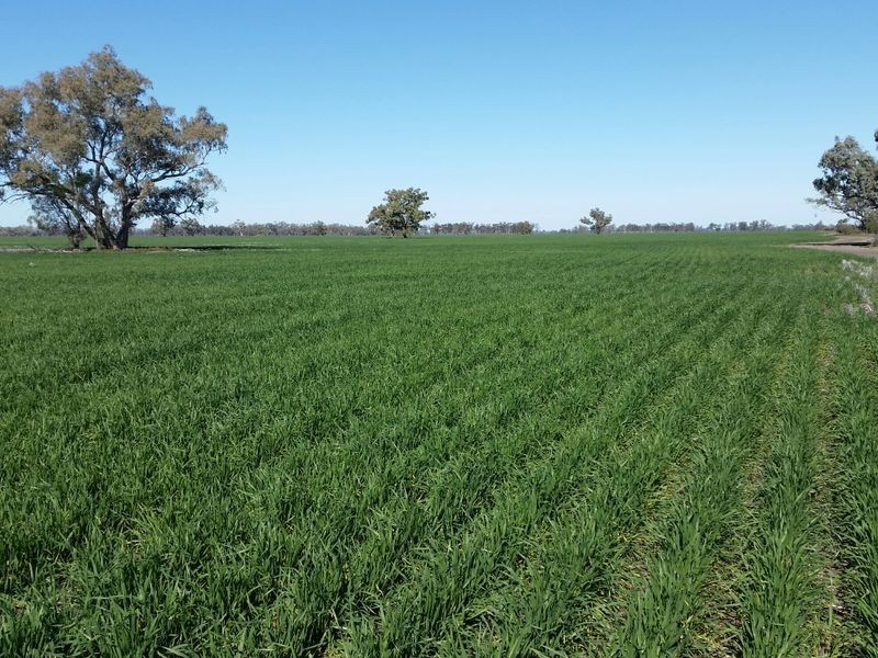 ‘Eulindra’ Watercourse Road, Moree NSW 2400